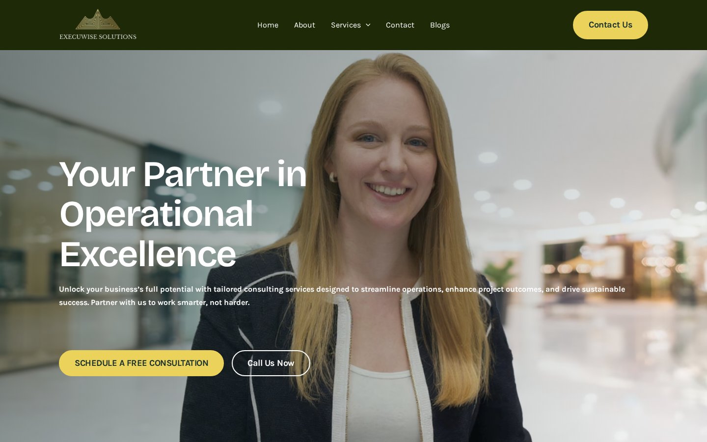 Execuwise Solutions